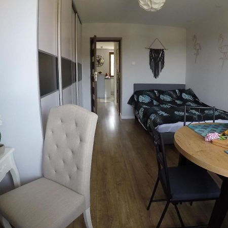 Apartament Bieszczady Apartment Ustrzyki Dolne Bagian luar foto