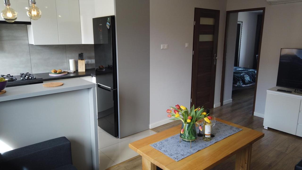 Apartament Bieszczady Apartment Ustrzyki Dolne Bagian luar foto