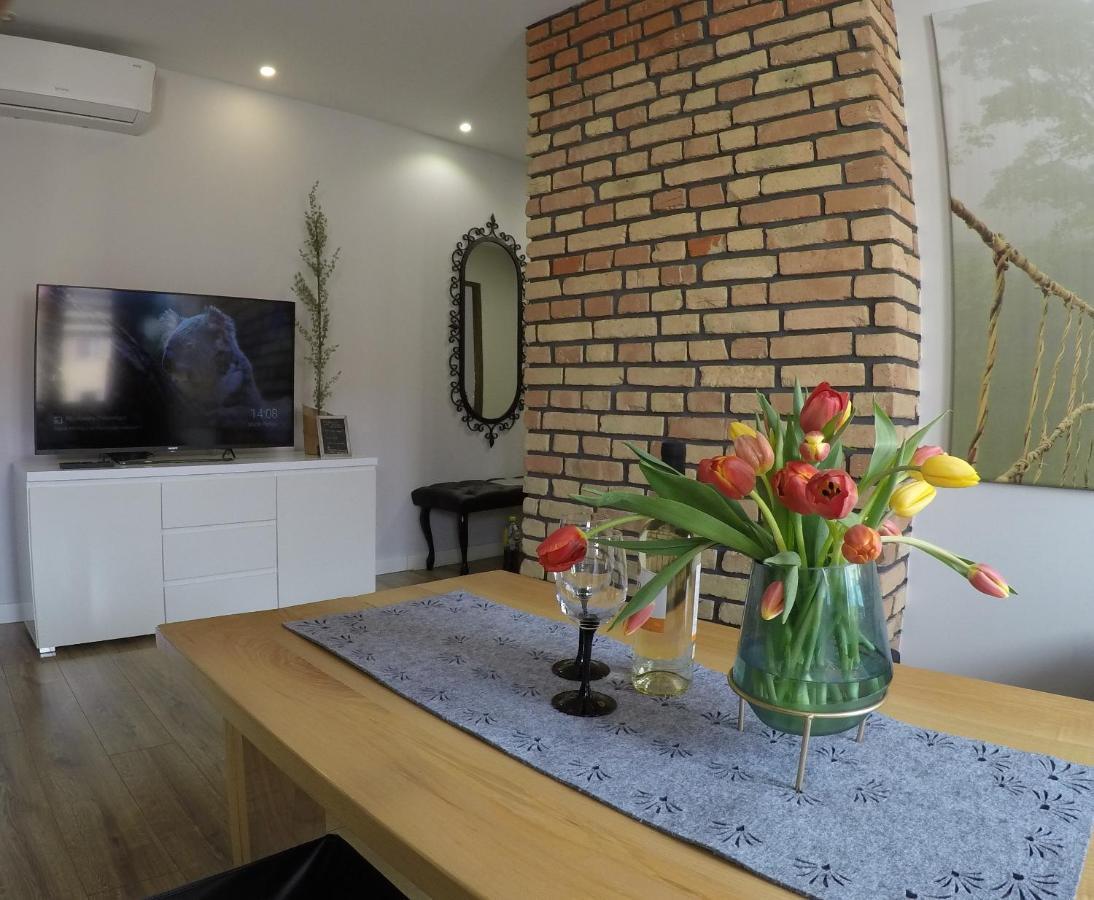Apartament Bieszczady Apartment Ustrzyki Dolne Bagian luar foto