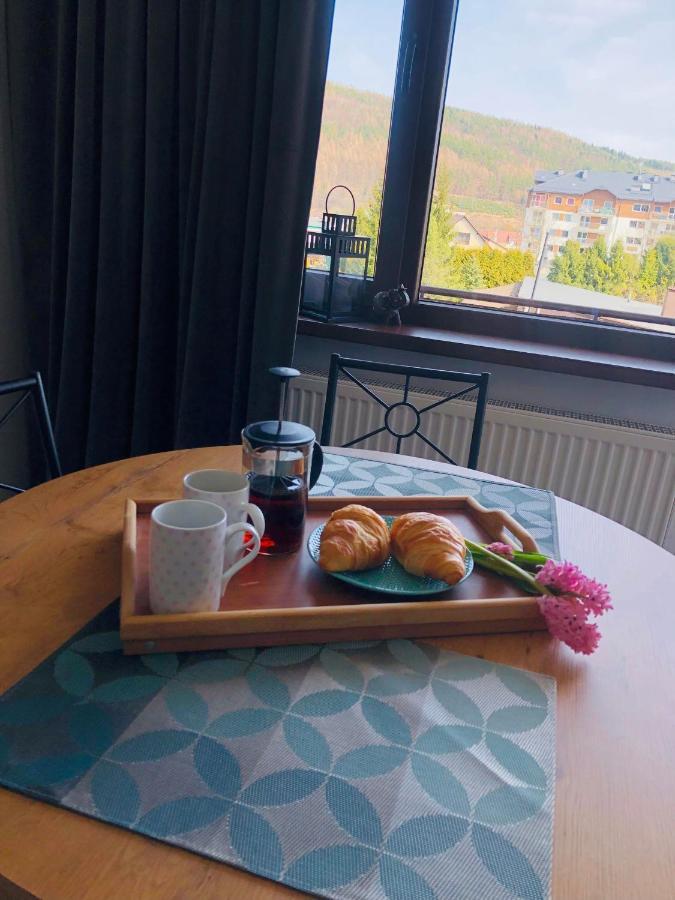 Apartament Bieszczady Apartment Ustrzyki Dolne Bagian luar foto