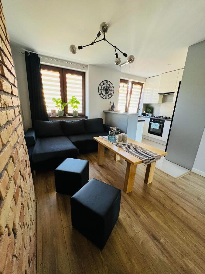 Apartament Bieszczady Apartment Ustrzyki Dolne Bagian luar foto